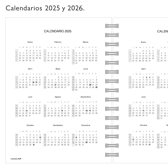 PLANNER PRO MORADO