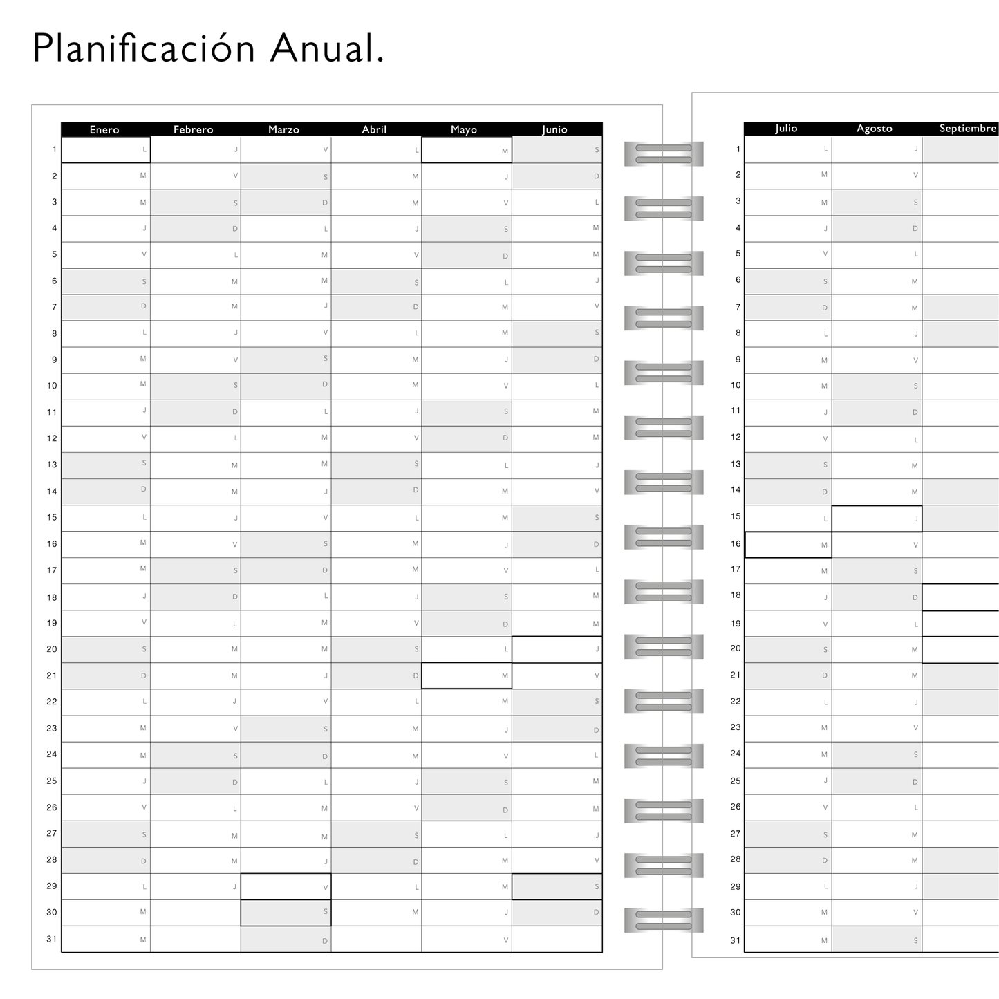 PLANNER PRO NEGRO